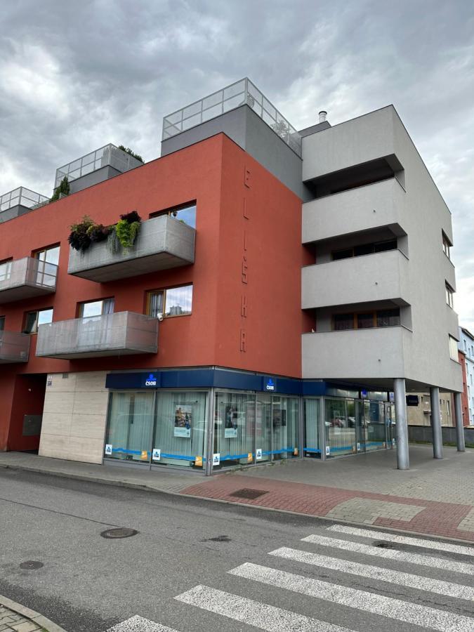 Apartments Spacilova Nearly Center Komarov Bagian luar foto
